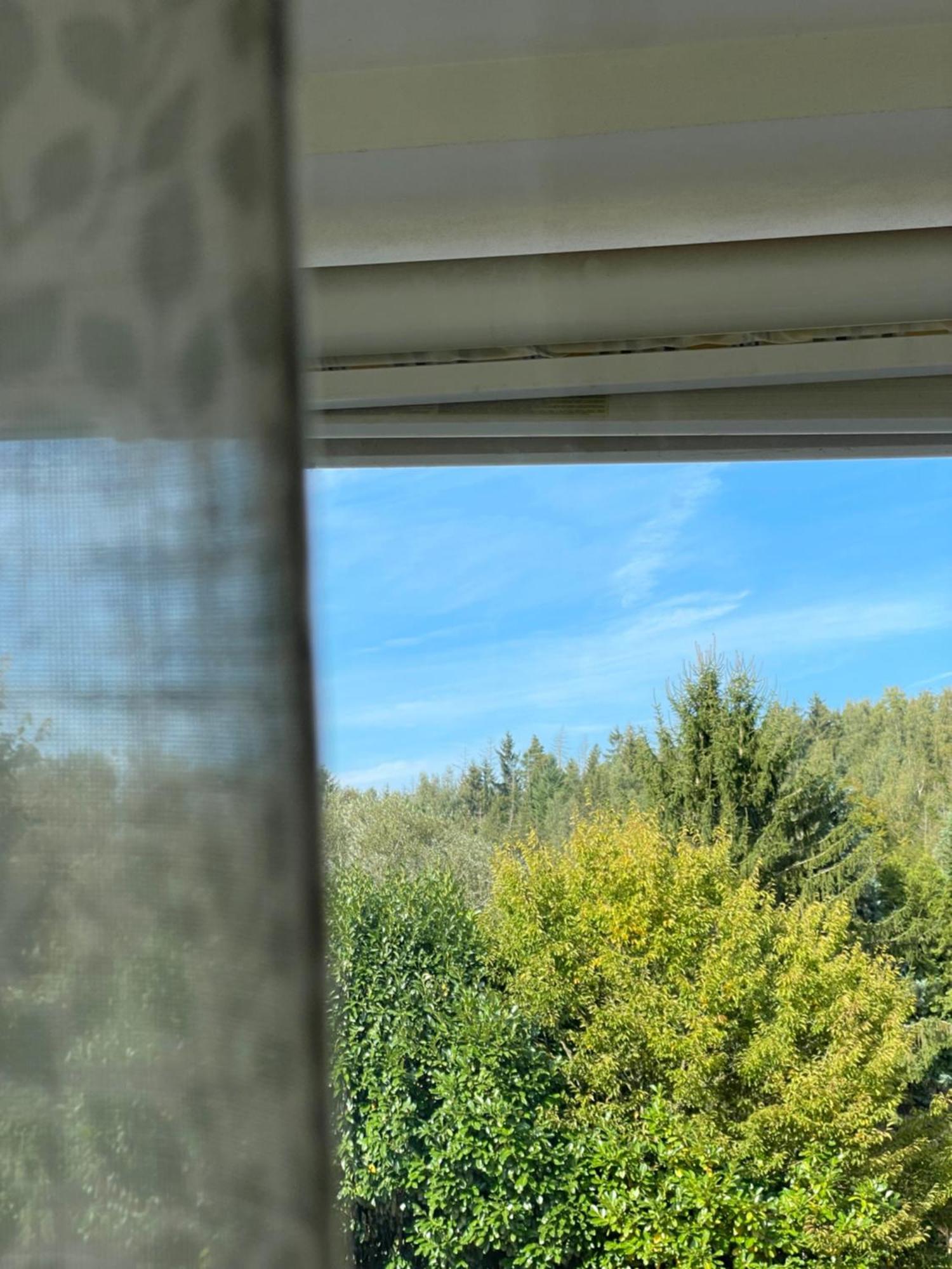 Waldblick